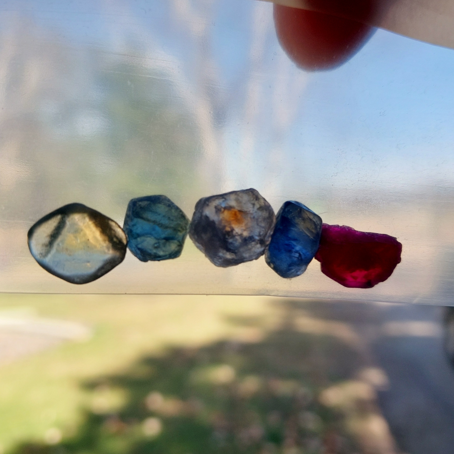 Natural Montana Sapphire Facet Rough 23.51 Carats Litnon.com