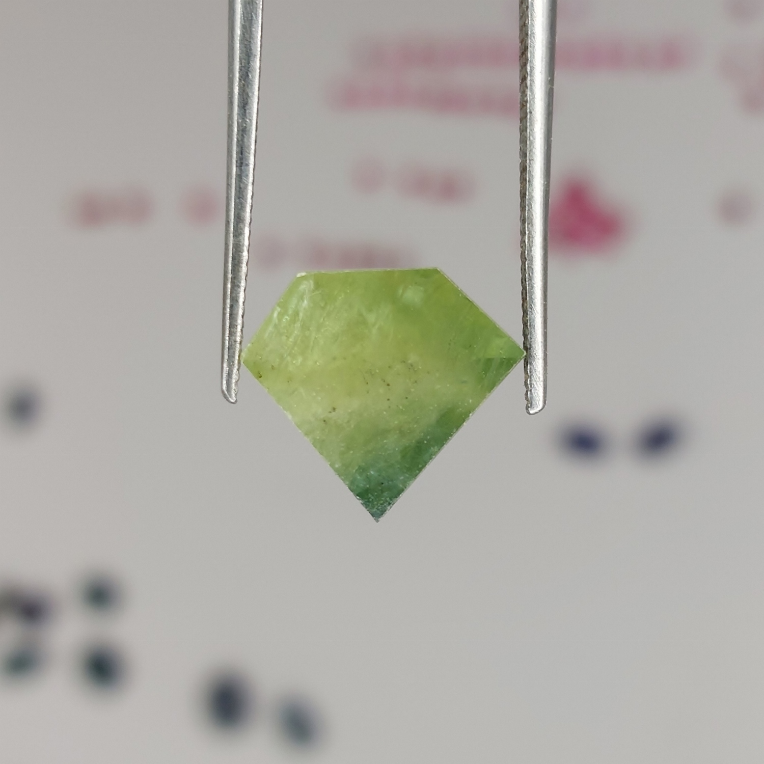 Unheated Montana Sapphire Shield Cut 3.16 Carats Litnon.com