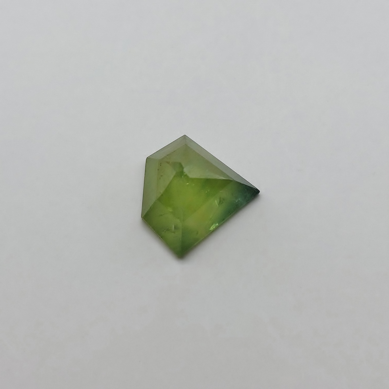 Unheated Montana Sapphire Shield Cut 3.16 Carats Litnon.com