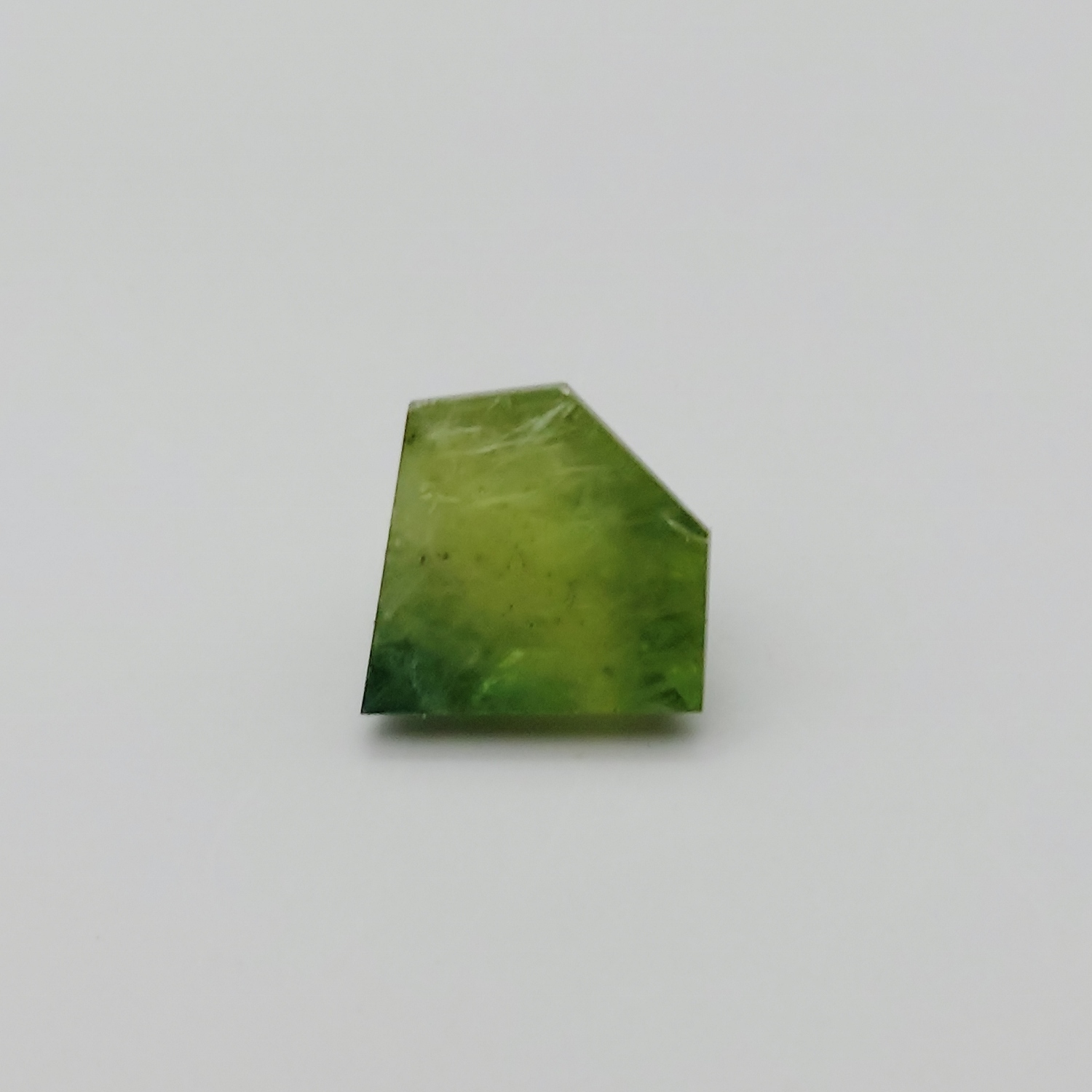 Unheated Montana Sapphire Shield Cut 3.16 Carats Litnon.com