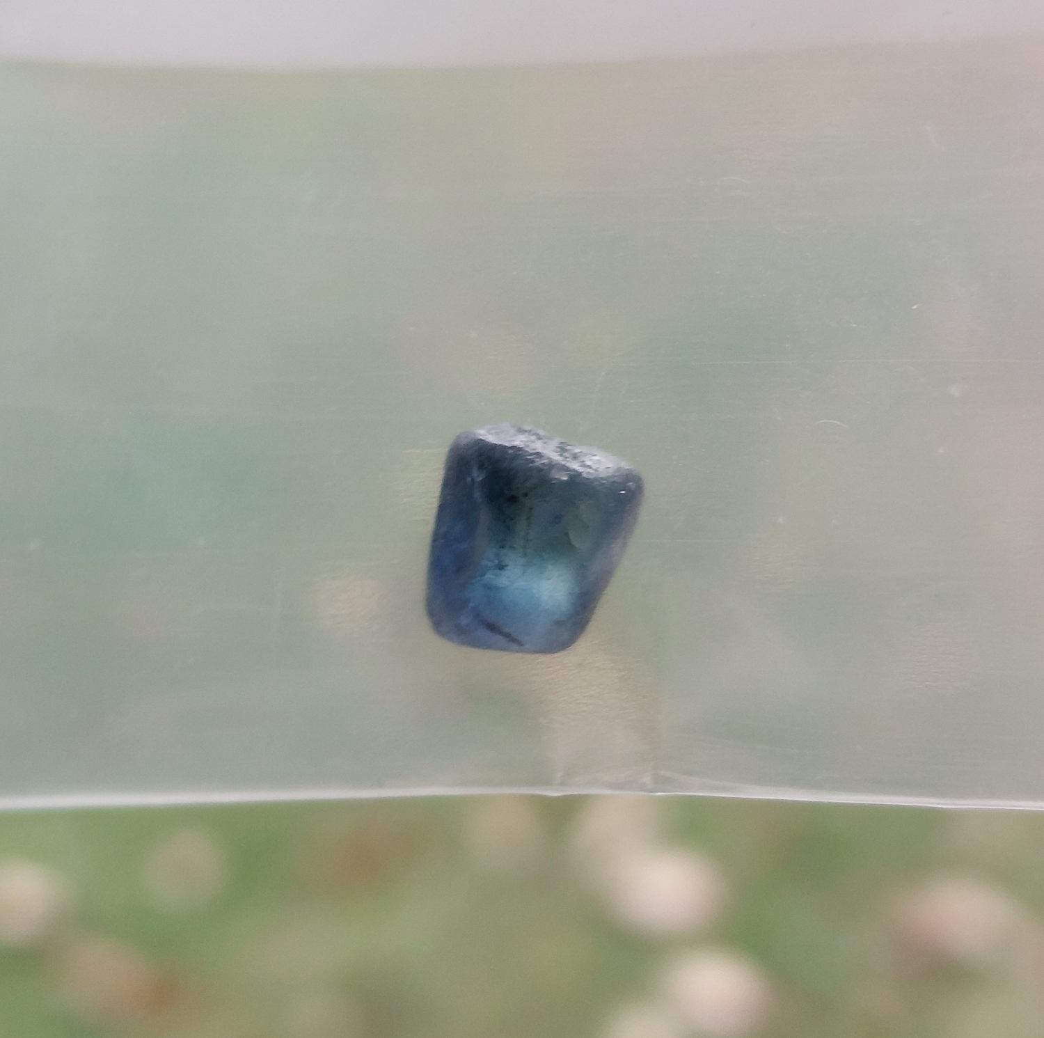 American Gem Natural Montana Sapphire Rough 2.54 Carats Litnon.com