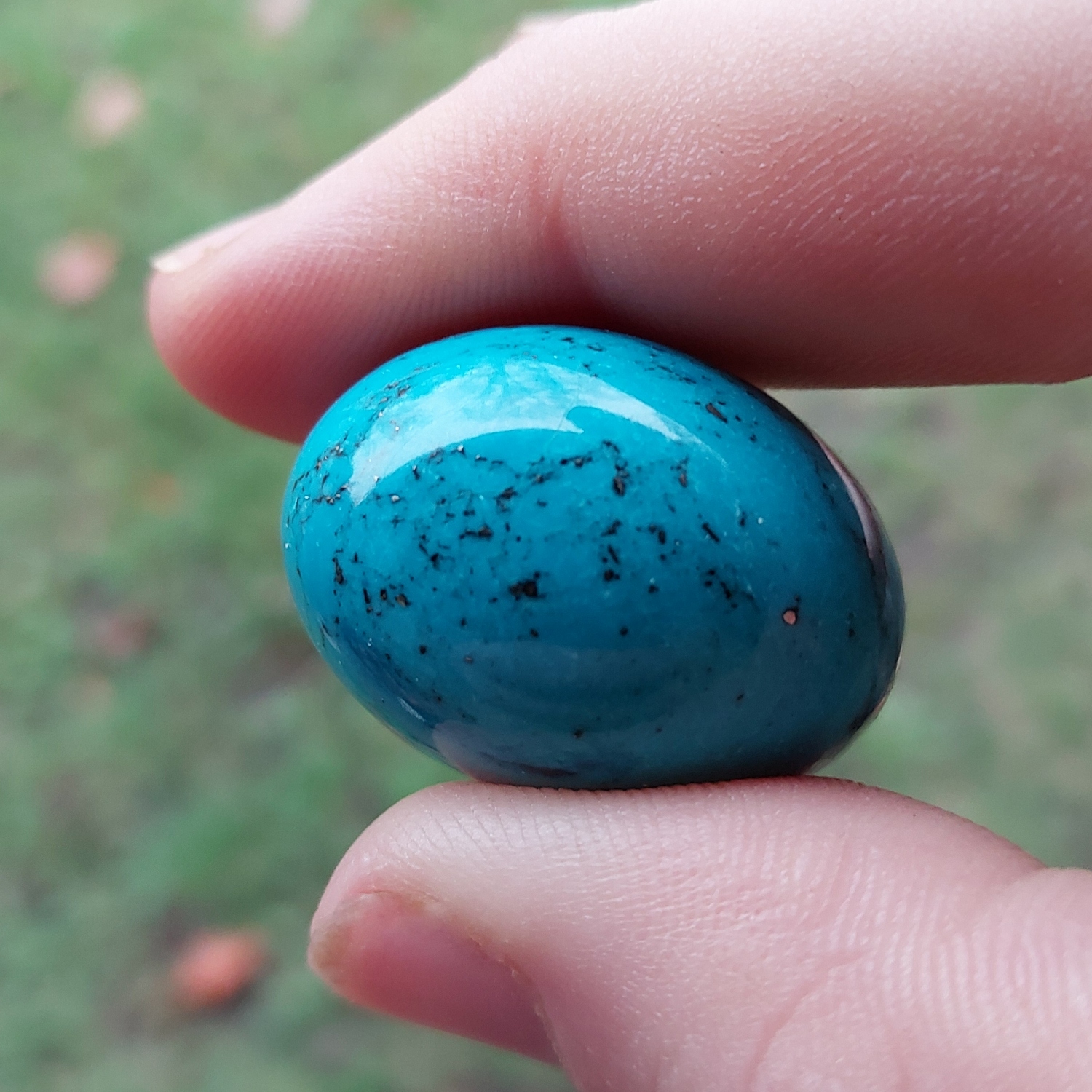 Pretty Color Large Oval Cabochon Turquoise 66 Carats Litnon.com
