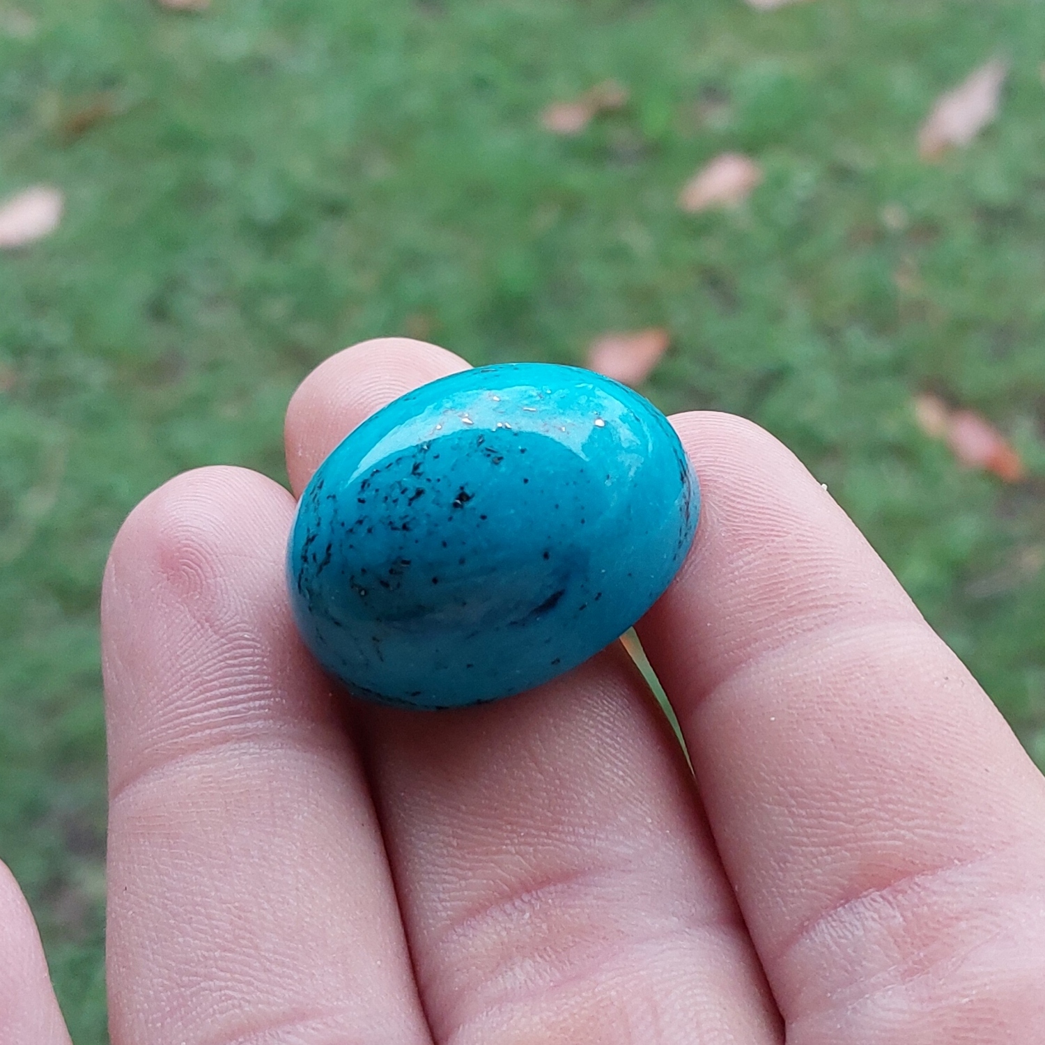 Pretty Color Large Oval Cabochon Turquoise 66 Carats Litnon.com