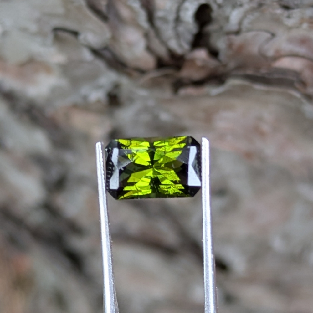 Pretty Green Tourmaline Mozambique 2.78 Carats Litnon.com
