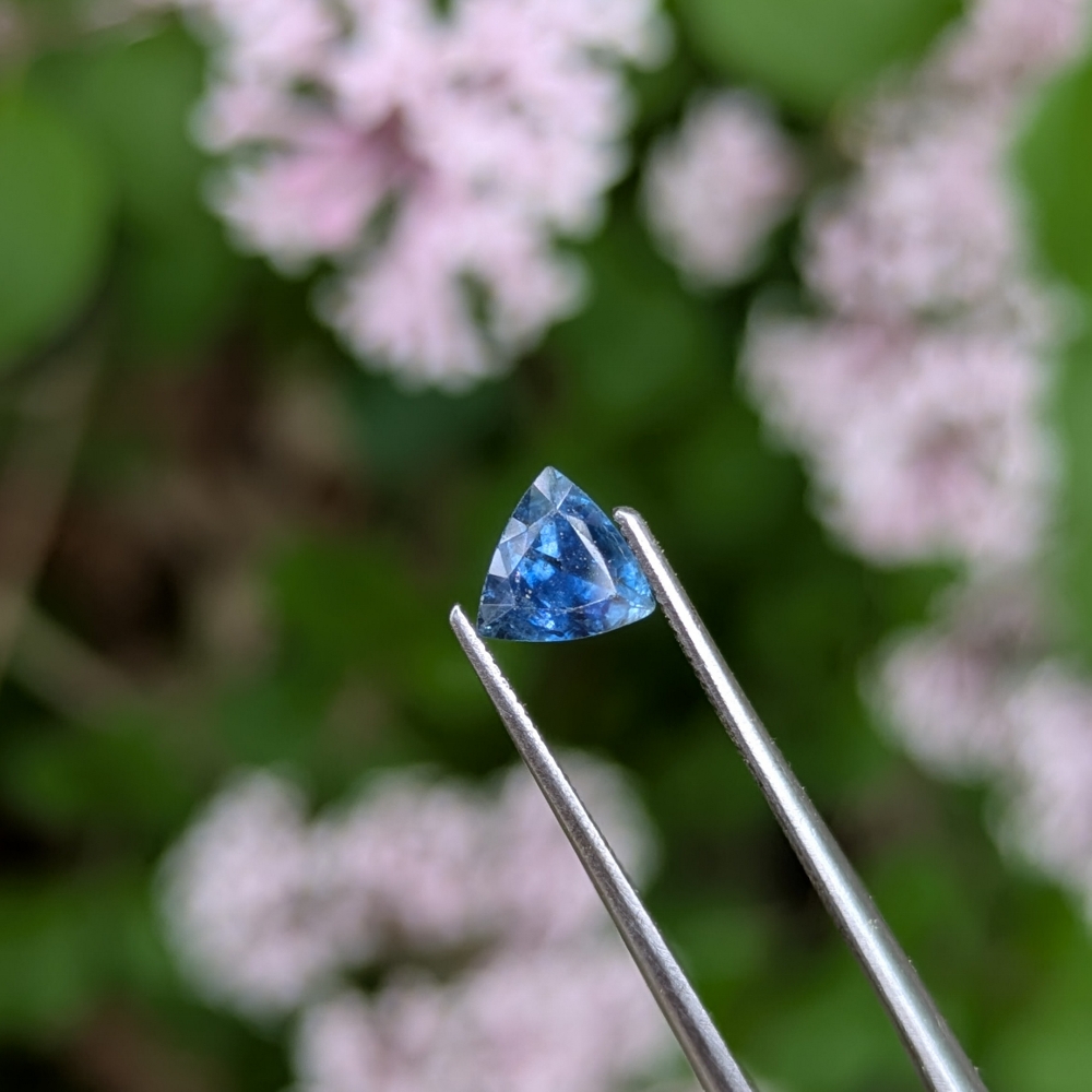 Natural Montana Blue Sapphire Sapphire 0.69 Carats Litnon.com