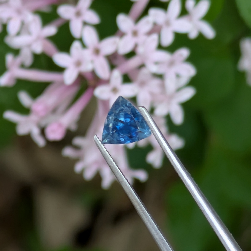 Natural Montana Blue Sapphire Sapphire 0.69 Carats Litnon.com