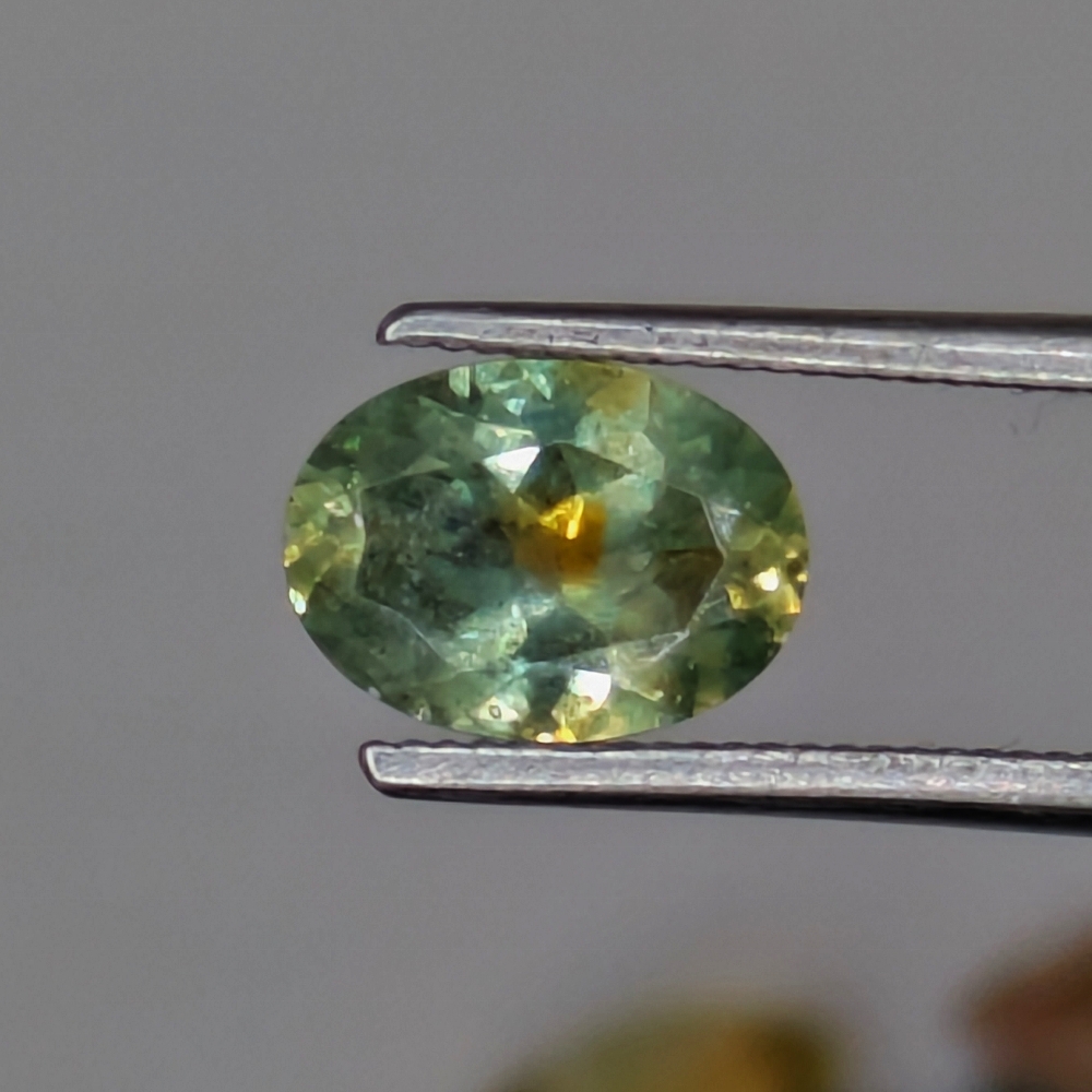 Very Pretty Green With Orange Yolk Montana Sapphire 0.90 Carats Litnon.com
