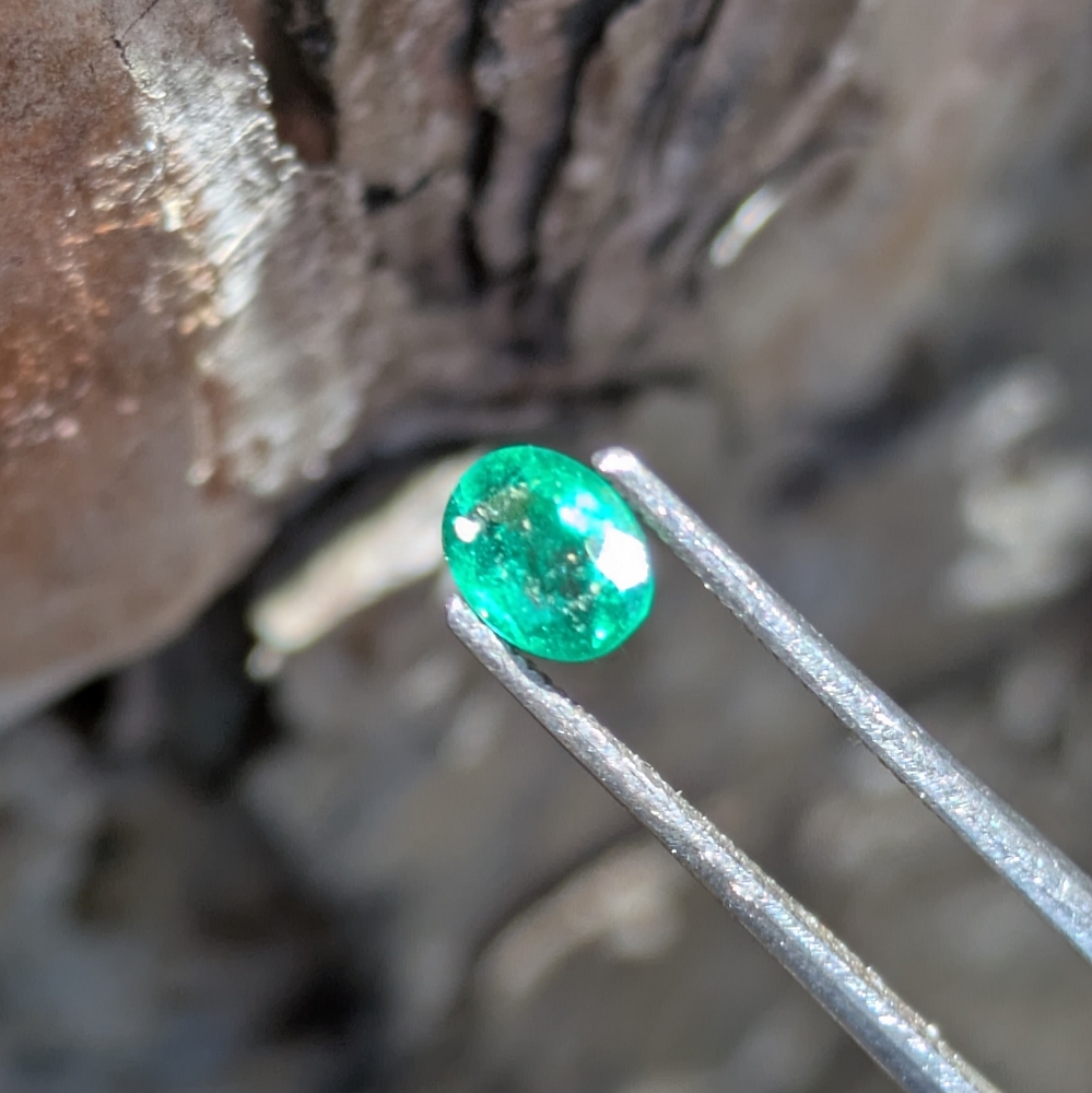 Natural Bright Fine Green Colombian Emerald 0.34 Carats Litnon.com
