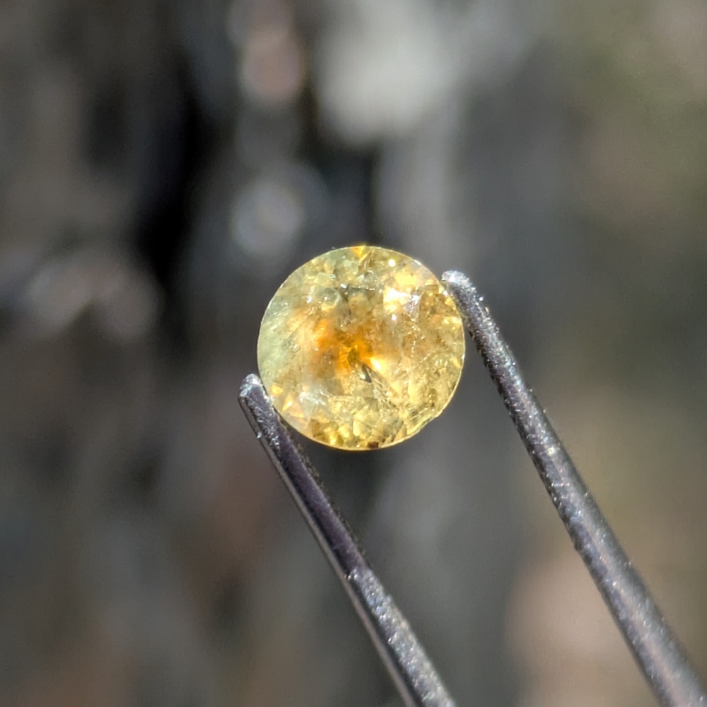 Moody Unheated Montana Sapphire 0.83 Carats Litnon.com