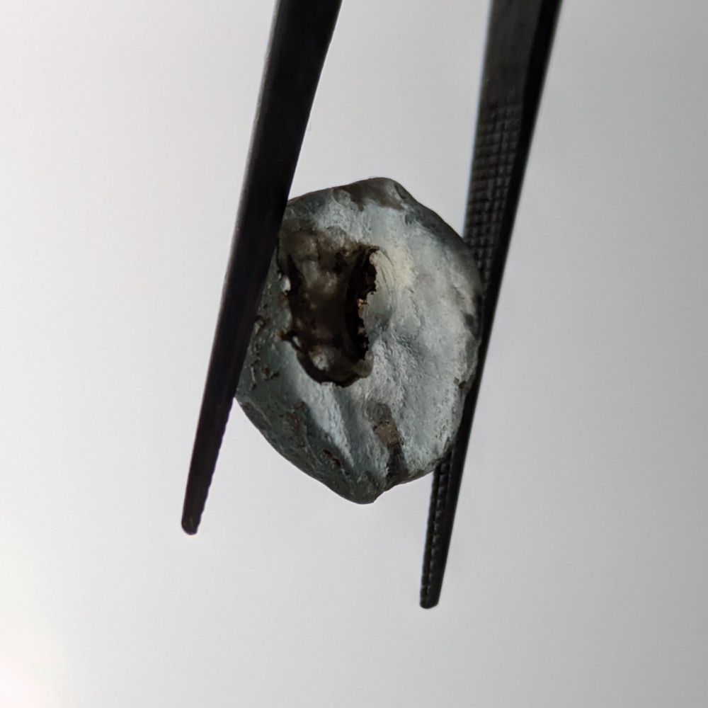 American Gem Natural Montana Sapphire Rough 7.82 Carats Litnon.com