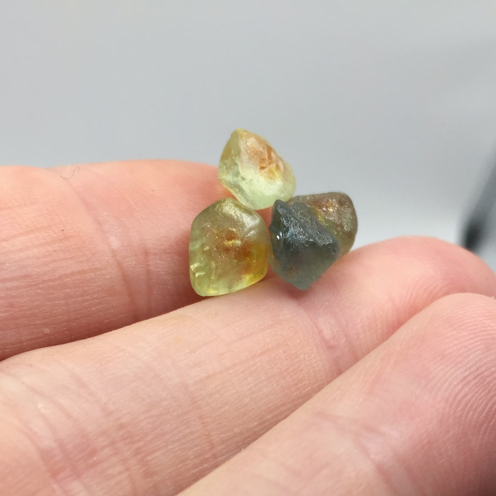 Hand Select Natural Montana Sapphire Facet Rough 13.02 Carats Litnon.com