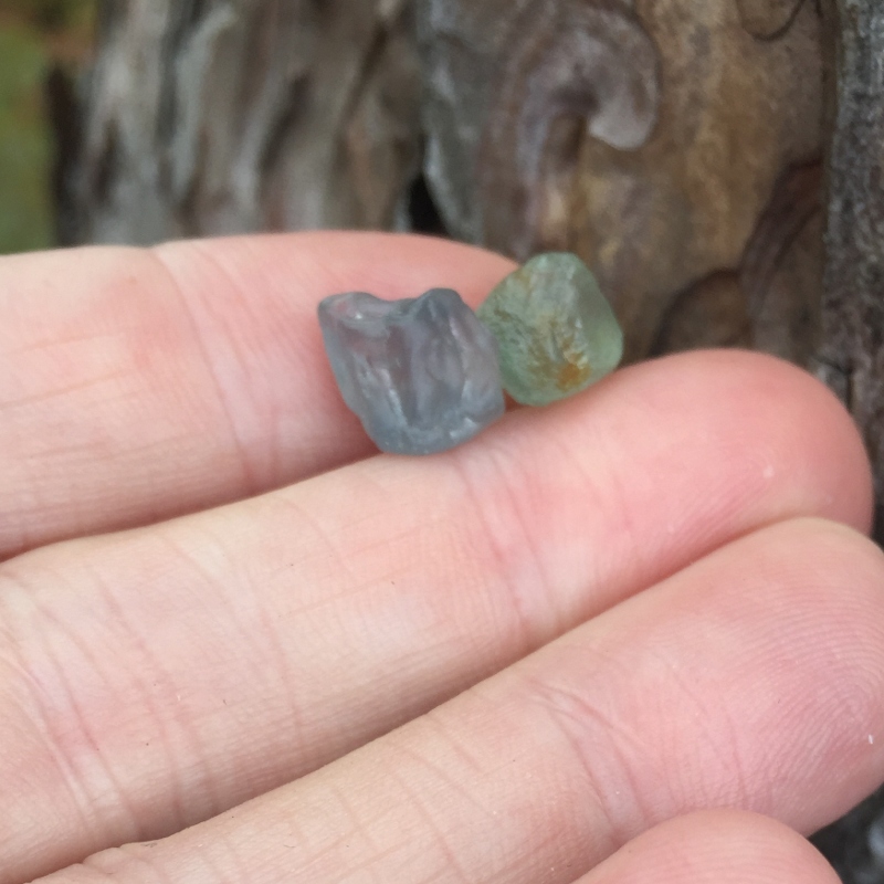 Hand Select Natural Montana Sapphire Facet Rough 11.03 Carats Litnon.com