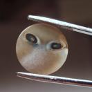 Fantastic Dendritic Agate Face Alien ONE OF A KIND