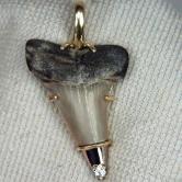 N Carolina Fossil Shark Tooth 18kt Diamond Pendant 
