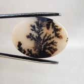 All Natural Dendritic Slice Agate Picture Gem Stone