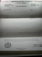 Huge Museum True Santa Maria Brazil Aquamarine 157ct 