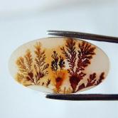 Museum Quality Worlds Best Scenic Dendritic Agate 