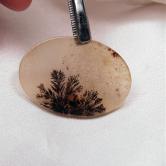 Bewildering Transparent Dendritic Agate Stone Cabochon
