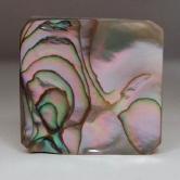 Color Iridescent California Red Abalone Cut Gem 
