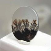 All Natural Fine Quality Dendritic Agate India 
