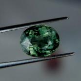 Collectors Gem Rare Green Apatite Sri Lanka 4.20 ct 