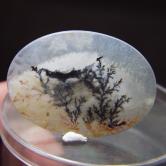 All Natural Fine Quality Dendritic Agate India 
