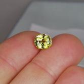 Brilliant Grossular Andradite Mali Garnet 2.78 ct 