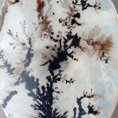 Exceptional All Natural Fine Quality Dendritic Agate India