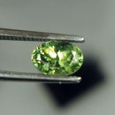 Bright and Pretty Demantoid Garnet Namibia 