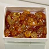 Quality Fine Color Montana Sapphire Facet Rough 145.50 ct 