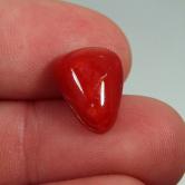 Rare Natural Ox Blood Coral Cab Italy 10.80 ct 