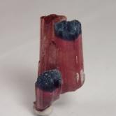 Collectors Tourmaline Crystal Specimen Afghanistan 