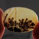 Gem One Of A Kind Scenic Dendritic Agate Gem Stone 