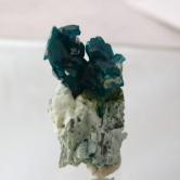 NR Top Color Blue Green Tsumeb Dioptase Specimen 