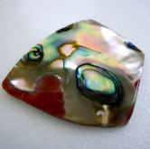Color Iridescent California Red Abalone Cut Gem 