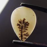 Rare and Fine Quality Natural Dendritic Agate 22 x 16 mm 