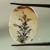 Rare Fine Quality Natural Dendritic Agate India 