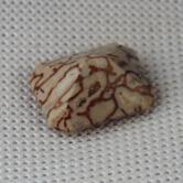 Unique Faceted Dinosaur Bone Fossil Montana 2.02 ct 