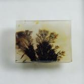 Rare and Fine Quality Scenic Dendritic Agate India 