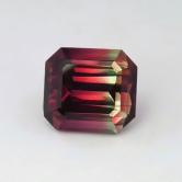 USA Cut Bi-Color Watermelon Tourmaline Nigeria 9.25 ct GLI PAID