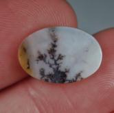 Rare and Fine Quality Scenic Dendritic Agate India