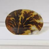 Fine Quality Scenic Dendritic Agate India 23 x 12 mm 
