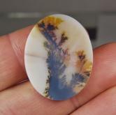 Big and Rare Fine Quality Scenic Dendritic Agate India