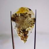  All Natural Fine Quality Dendritic Agate India 