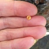 Little Three Mine Ramona Californa Spessartite Garnet 