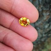 Fine Color Rich Golden Yellow Sapphire Sri Lanka 3.52 ct 