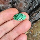 Apple Green Type A Burmese Jadeite Carved Cabochon 6.32 ct 