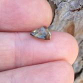 Rare Gem Quality Kornerupine Sri Lanka 1.61 ct 