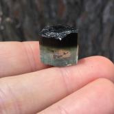 Collectors Achroite and Schorl Tourmaline Specimen Afghanistan GL