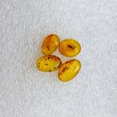 Natural Baltic Insect Amber Cabochon Russia Lot 
